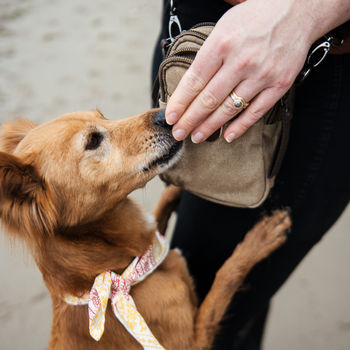 Classic Dog Walking Bag, 5 of 6