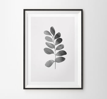 Black And White Modern Botanical Prints, 6 of 6