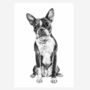 Boston Terrier Dog Portrait Print, thumbnail 2 of 3