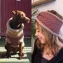 Burgundy Dog Jumper And Matching Headband Set, thumbnail 1 of 7