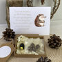 Personalised Hedgehog Hug In A Gift Box, thumbnail 2 of 3