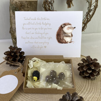 Personalised Hedgehog Hug In A Gift Box, 2 of 3