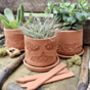 Indian Block Terracotta Planter And Drip Tray, thumbnail 1 of 5