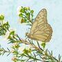 Insect Plant Animal Decor, Butterfly/Bee And More, thumbnail 1 of 9