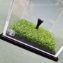 Golf Ball Display Case, thumbnail 5 of 10