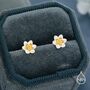 Sterling Silver Water Lily Stud Earrings With Gold Tone Centre, thumbnail 3 of 11