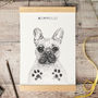 Personalised Dog Paw Print Picture Kit, thumbnail 1 of 3