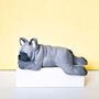 Sleeping French Bulldog Grey, thumbnail 1 of 10