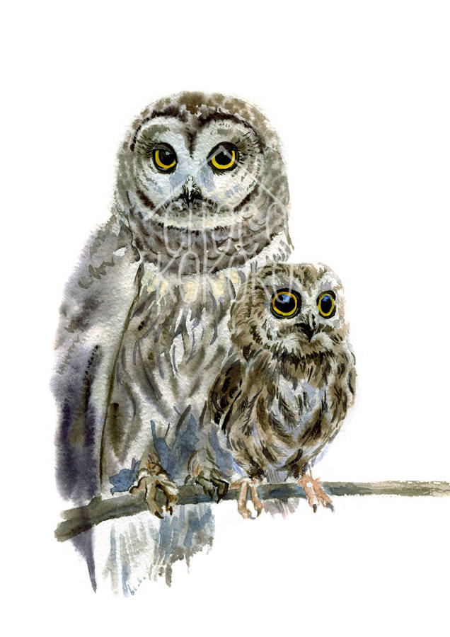 woodland owls fine art print by chocovenyl