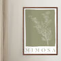 Botanical Mimosa Print, thumbnail 1 of 4