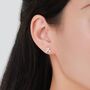 Tiny Mistletoe Stud Earrings In Sterling Silver, thumbnail 8 of 11