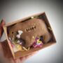Hand Iced Personalised Brown Bear Biscuit Gift, thumbnail 4 of 6