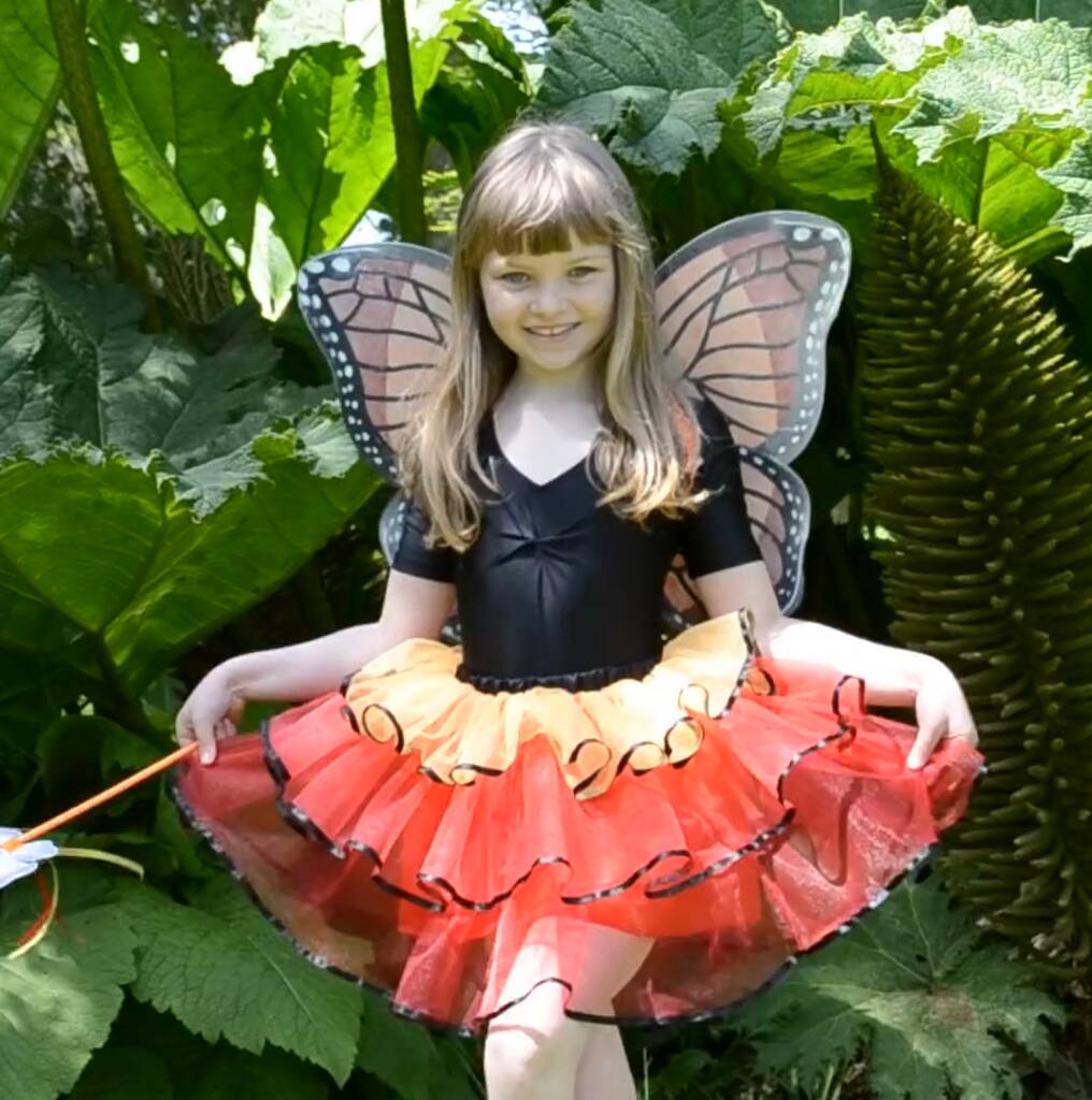 butterfly fairy dress up 3yrs+ by alice frederick