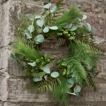 Botanical Beauty Deluxe Evergreen Wreath, 3 of 8