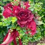The Ruby Red Rose Bridal Bouquet, thumbnail 5 of 12