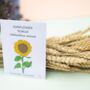 Pick Your Own Flower Seeds Pack, thumbnail 5 of 10