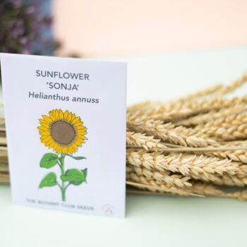 Pick Your Own Flower Seeds Pack, 5 of 10