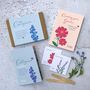 Commemorative Evergreen Garden Border Design Kit, thumbnail 2 of 8