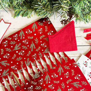 Luxury Red And White Christmas Make Your Own Diy Crackers Set Of Six, 3 of 7
