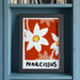 December Narcissus Birth Flower Print, thumbnail 1 of 3