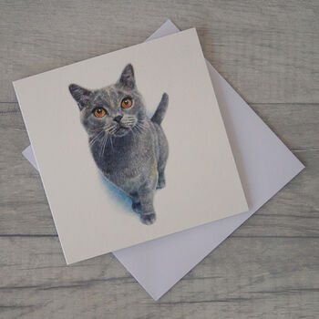 Illustrated Cat Greetings Card, 2 of 2