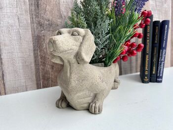 Grey Dachshund Planter Sausage Dog Flower Pot Home Decor, 10 of 11