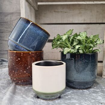 Gloss Ceramic Planter Indoor Plant Pots, 2 of 12