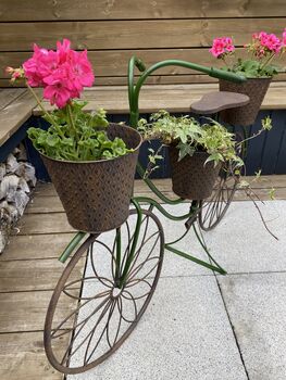 Steel Bike Planter, 2 of 12