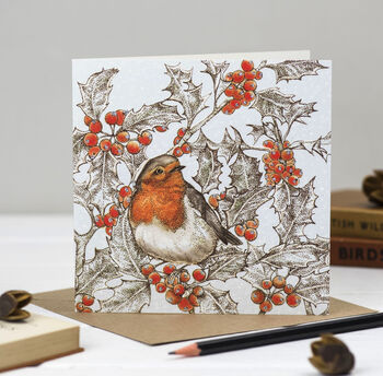 'Jolly Robins' Mixed Pack Of 10 Christmas Cards, 5 of 10