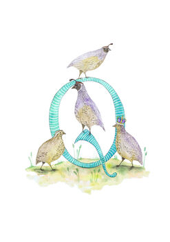 L Is For Llama Alphabet Art Print, 7 of 12