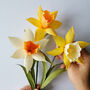 Paper Flower Craft Kit: Daffodils, thumbnail 1 of 8
