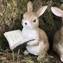 Rabbit With Book Fairy Garden Decoration In Gift Pouch, thumbnail 5 of 5