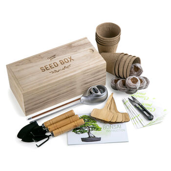 Grow Your Own Bonsai Tree Kit, 2 of 6