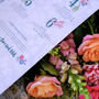 ‘The Hope Bringer’ Fresh Flower Letterbox Gift Supporting Refuge, thumbnail 4 of 4