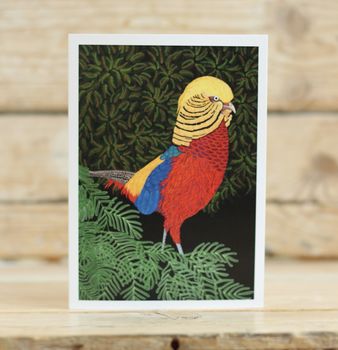 Golden Pheasant Greeting Card, 2 of 2