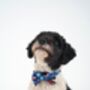 Pink Or Blue Dog Collar Bow Tie, thumbnail 2 of 7
