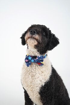 Pink Or Blue Dog Collar Bow Tie, 2 of 7