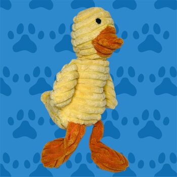 Discovery Duck Toy, 2 of 3