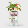 Personalised Grow Your Own Peppers Kit For Dad, thumbnail 1 of 7