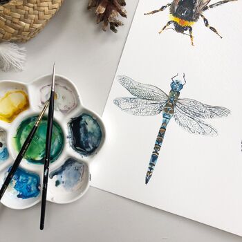 Dragonfly Watercolour Greetings Card, 2 of 2