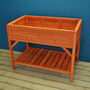 Wooden Raised Herb Planter, thumbnail 3 of 5