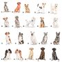 'Pawprints On Your Heart' Dog Tin 80 Breeds Available, thumbnail 8 of 10