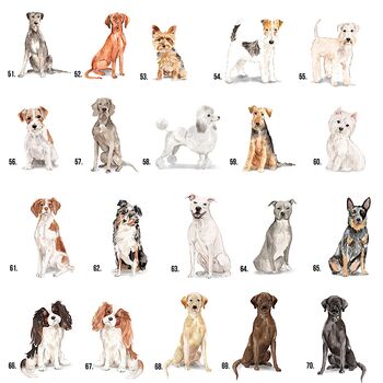 'Pawprints On Your Heart' Dog Tin 80 Breeds Available, 8 of 10