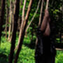 Yoga And Forest Bathing Experience In Brighton. For Two, thumbnail 5 of 12