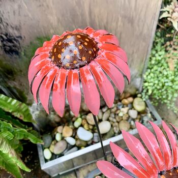 Echinacea And Butterfly Garden Stake Art089, 4 of 11