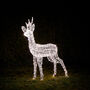 Swinsty Stag Dual Colour LED Light Up Reindeer One.25m, thumbnail 5 of 9