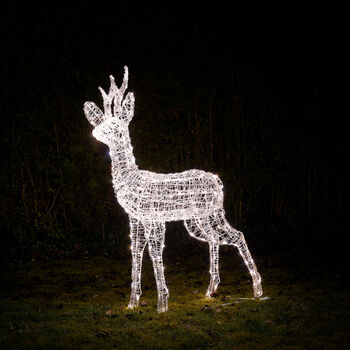 Swinsty Stag Dual Colour LED Light Up Reindeer One.25m, 5 of 9