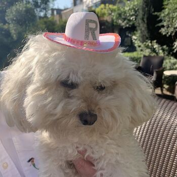 Personalised Pet Cowboy Hat, 8 of 8