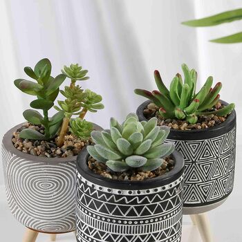 Set Of Three Artificial Succulent Plant In Ceramic Pot, 4 of 4