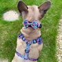 Candy Floral Dog Harness Lead Collar Waste Bag Set Bundle, thumbnail 3 of 11